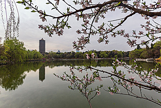 北京大学