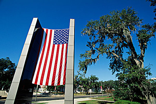 仰视,美国国旗,纪念,越战纪念碑,塔拉哈西,佛罗里达,美国