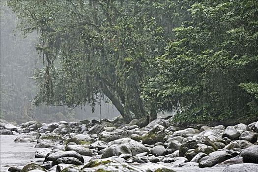 雨,哥斯达黎加