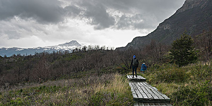 旅游,远足,托雷德裴恩国家公园,巴塔哥尼亚,智利