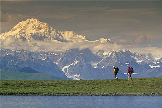 远足者,苔原,德纳里峰,州立公园,阿拉斯加,夏天,麦金利山,背景