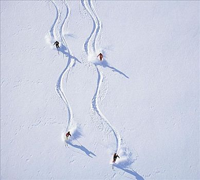滑雪,滑雪轨迹,雪中,粉状雪,斜坡,滑雪道,冬季运动,欧洲,假日