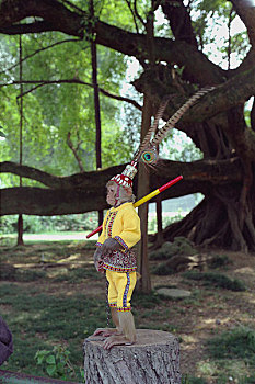 广西桂林平乐古榕树下的耍猴人