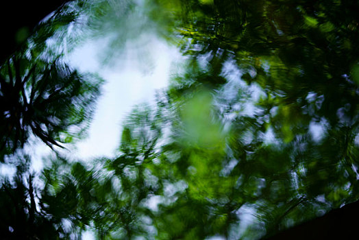 水生植物,瓶子