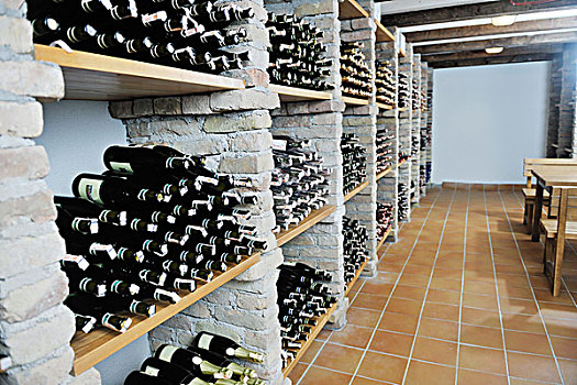 藤,柱状物,许多,不同,葡萄酒瓶