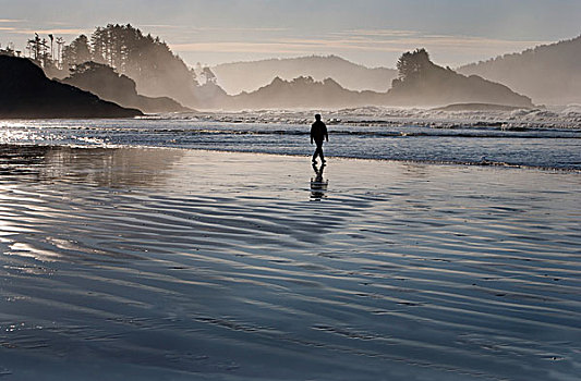一个,男人,走,海滩,靠近,温哥华岛,不列颠哥伦比亚省,加拿大