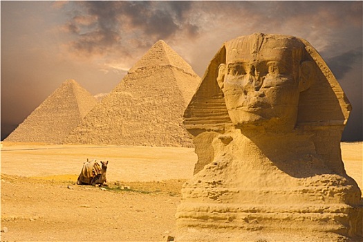 狮身人面像,脸,金字塔,日落,背景