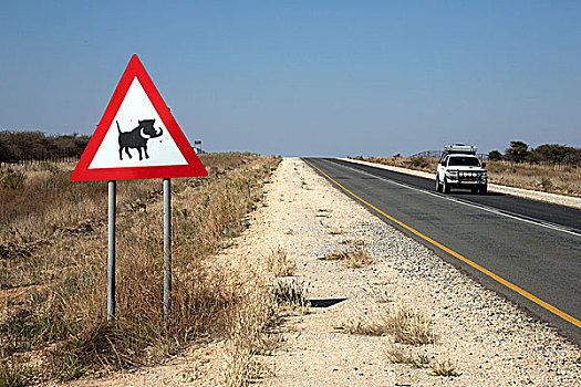 路标,警告,疣猪,道路,靠近,纳米比亚,非洲