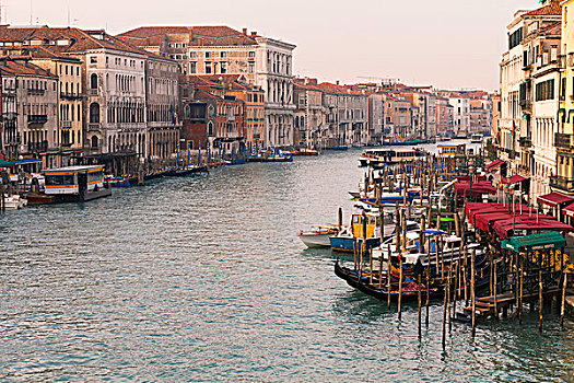 风景,大运河,雷雅托桥,威尼斯,意大利