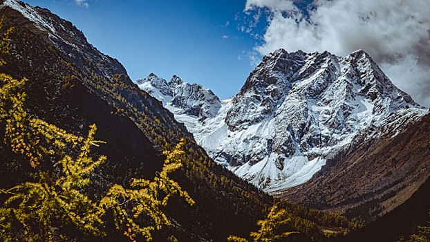 白马雪山