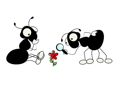 两个,蚂蚁,花