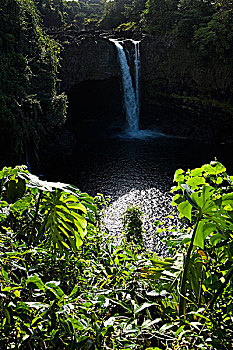 瀑布,树林,彩虹瀑布,夏威夷大岛,夏威夷,美国
