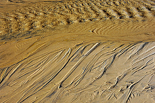 排干,海水,离开,痕迹,沙子,海滩