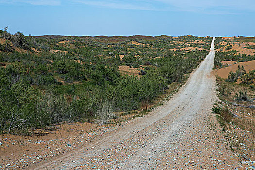 乌兹别克斯坦沙漠公路