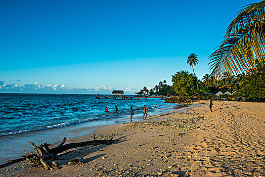 日落,海滩,多巴哥岛,特立尼达和多巴哥,加勒比