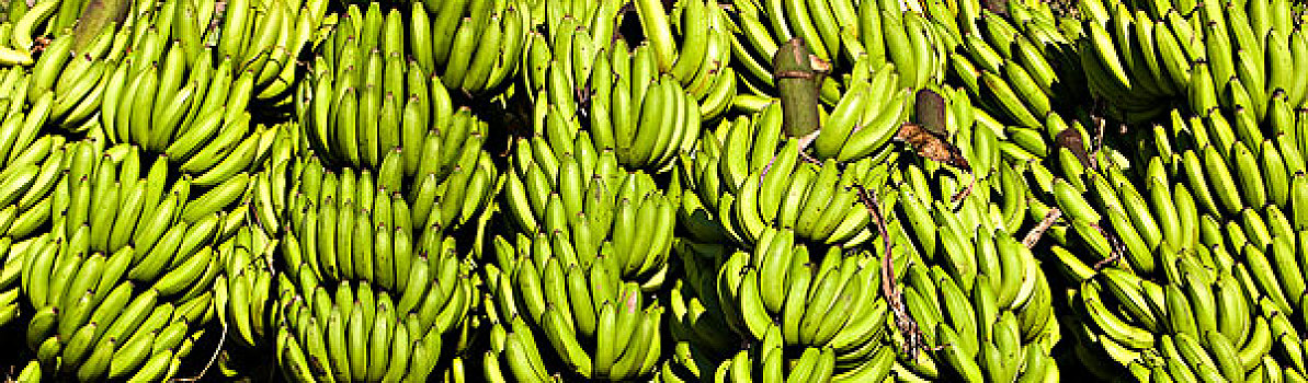 香蕉,市场,乡村,秘鲁