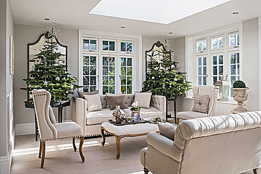 旧式家具,圣诞树,优雅,客厅,灰色