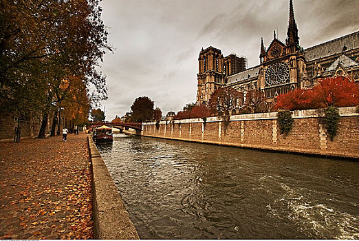 河岸,大教堂,塞纳河,巴黎