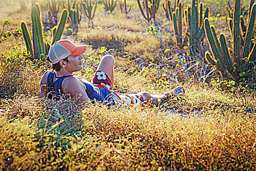 男人,放松,草丛,围绕,仙人掌,杰里考考拉,国家公园,巴西