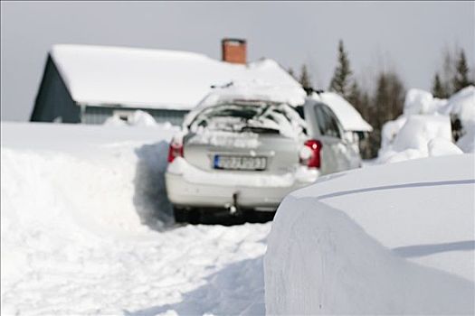 汽车,屋舍,冬天,瑞典