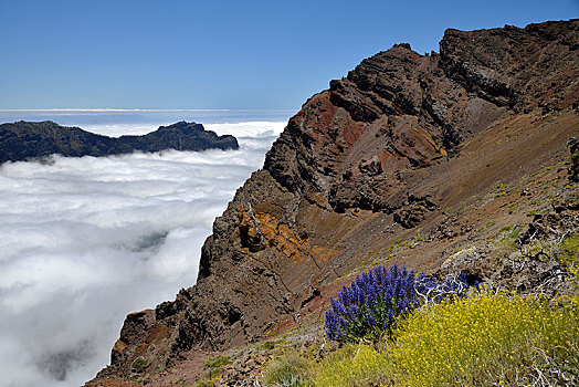 风景,火山口,国家公园,加纳利群岛,帕尔玛,西班牙,欧洲