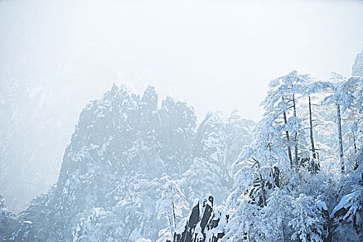 雪景,黄山,山,冬天