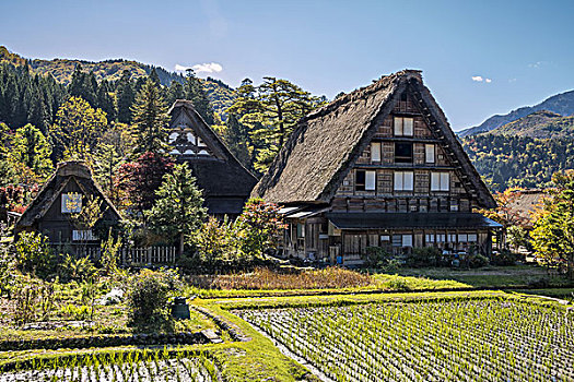 房子,白川乡,岐阜,日本