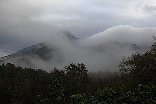 五指山风光