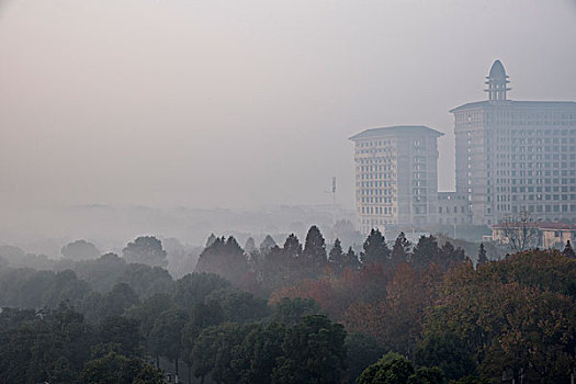 新城区