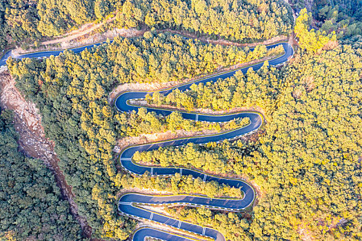 蜿蜒道路