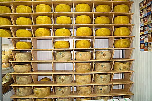奶酪,汉吉斯,批发,市场,靠近,巴黎,法国,欧洲
