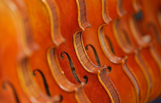 排列整齐的小提琴