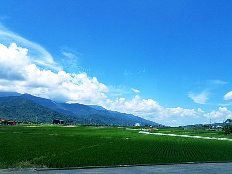绿色,田野,蓝天白云