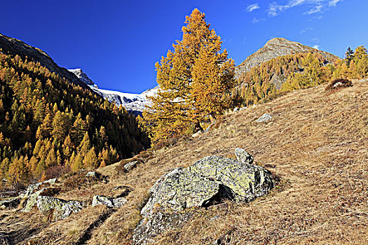 瑞士,瓦莱,秋天风景