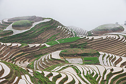 广西,桂林,龙胜,梯田