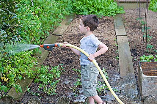 男孩,浇水,菜园