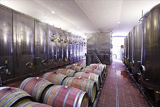 木桶,葡萄酒厂