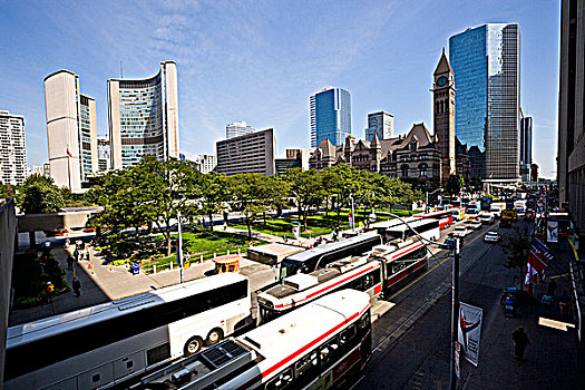 旅游巴士,有轨电车,皇后大街,正面,市政厅,多伦多,安大略省,加拿大