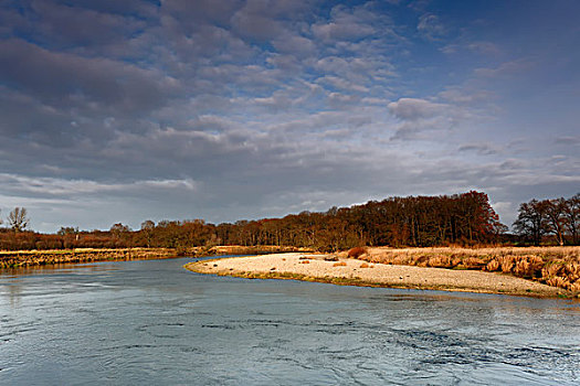 砾石,堤岸,自然,河,中间,生物保护区,萨克森安哈尔特,德国,欧洲