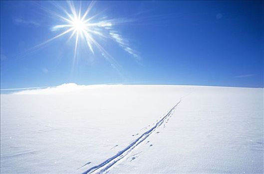 太阳,上方,滑雪,雪地