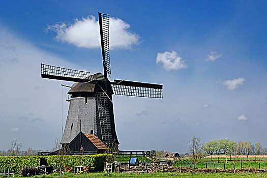 风车,靠近,沃伦丹,荷兰