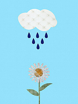 云,雨滴,浇水,雏菊