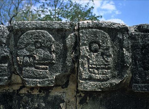 雕刻,寺庙,头骨,奇琴伊察,尤卡坦半岛,墨西哥,艺术家