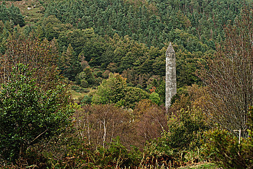 圆塔,树林,爱尔兰