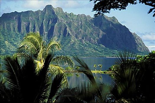 夏威夷,瓦胡岛,卡内奥赫,区域,山,背景