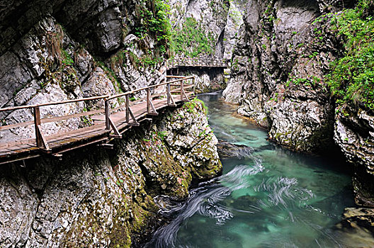 峡谷,靠近,流血,特拉维夫,国家,公园,斯洛文尼亚,欧洲