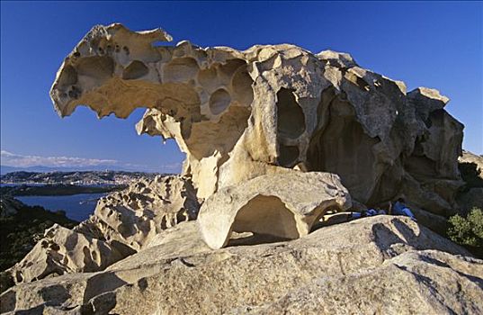 岩石构造,熊,撒丁岛,意大利