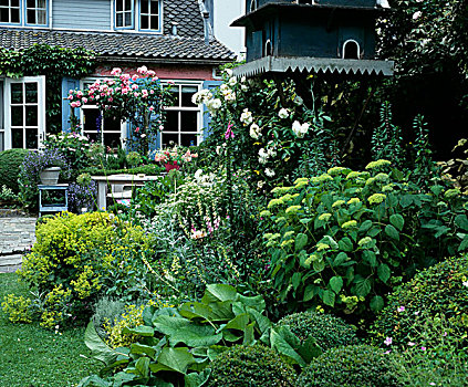 房子,茂盛,花园