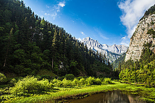 四川九寨沟风光