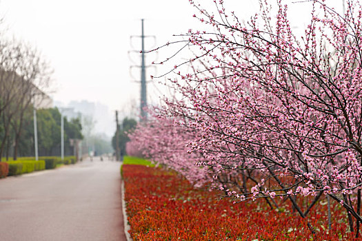 自然风景